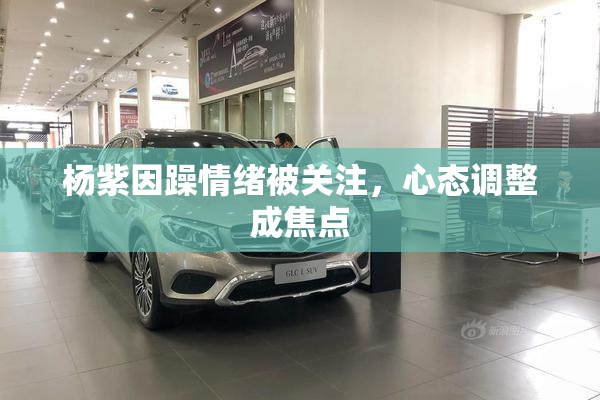 杨紫因躁情绪被关注，心态调整成焦点