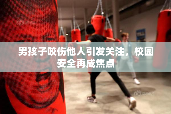 男孩子咬伤他人引发关注，校园安全再成焦点