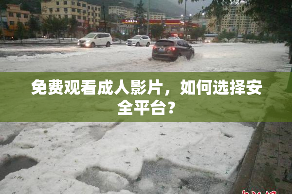 免费观看成人影片，如何选择安全平台？