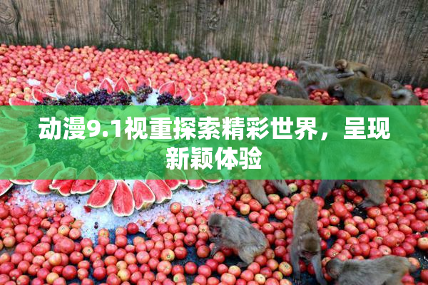 动漫9.1视重探索精彩世界，呈现新颖体验