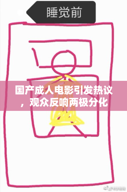 国产成人电影引发热议，观众反响两极分化