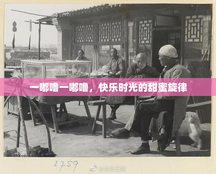 一嘟噜一嘟噜，快乐时光的甜蜜旋律