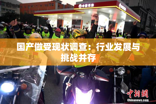 国产做受现状调查：行业发展与挑战并存