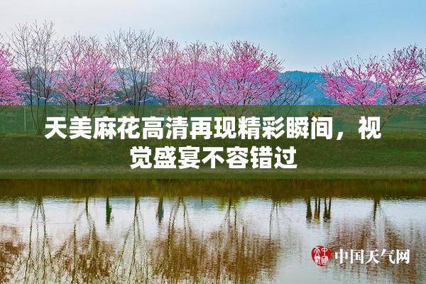 天美麻花高清再现精彩瞬间，视觉盛宴不容错过