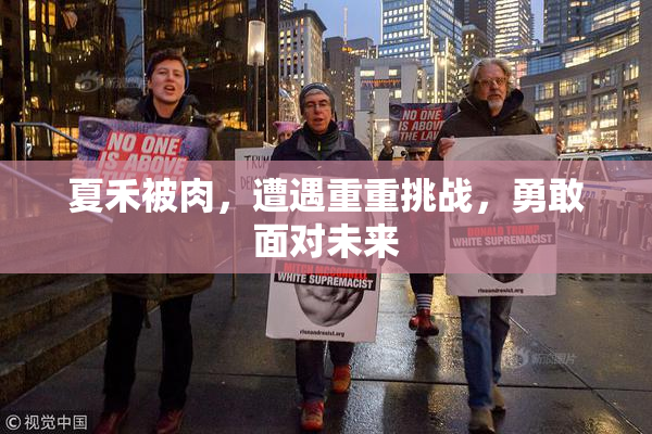 夏禾被肉，遭遇重重挑战，勇敢面对未来