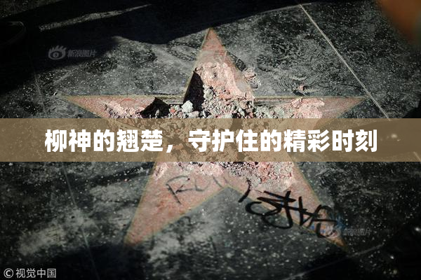 柳神的翘楚，守护住的精彩时刻