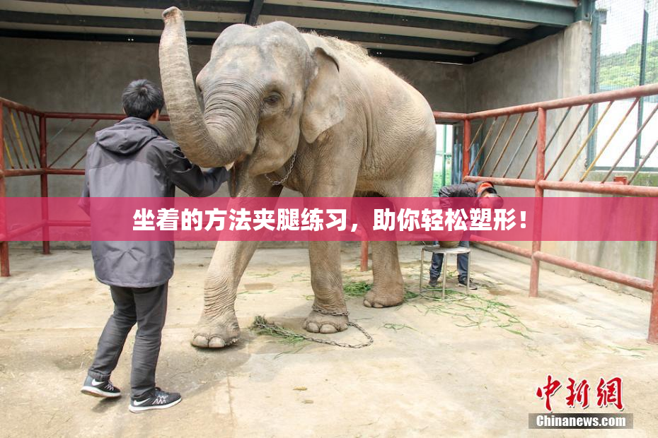 坐着的方法夹腿练习，助你轻松塑形！