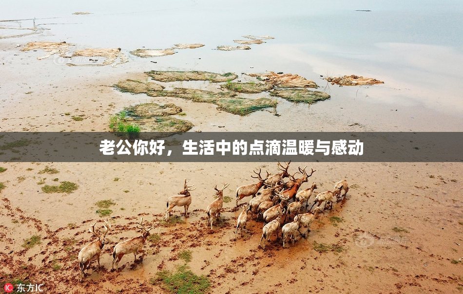 老公你好，生活中的点滴温暖与感动