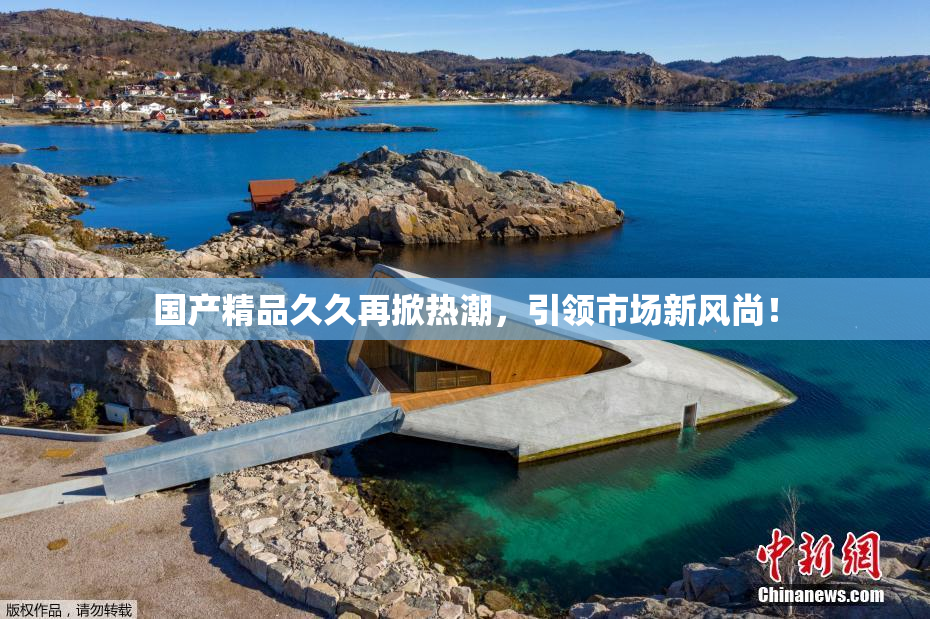 国产精品久久再掀热潮，引领市场新风尚！