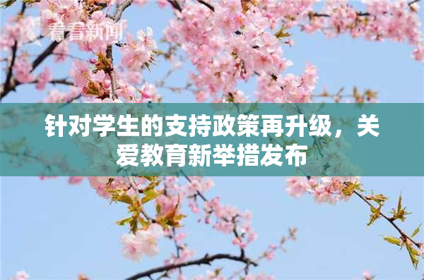 针对学生的支持政策再升级，关爱教育新举措发布