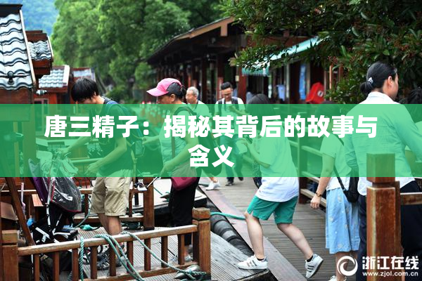 唐三精子：揭秘其背后的故事与含义