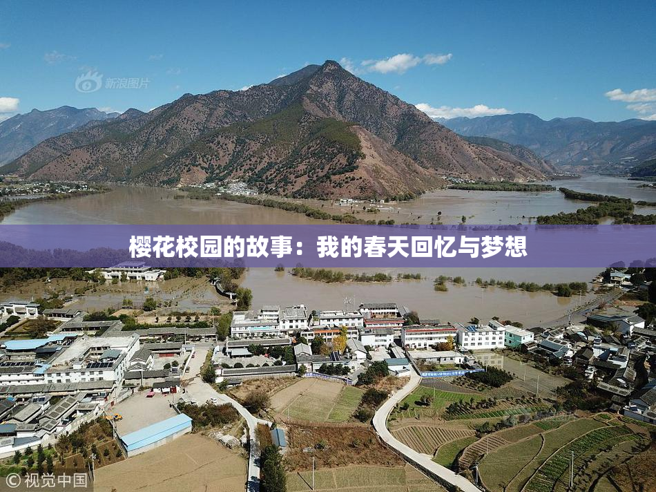 樱花校园的故事：我的春天回忆与梦想