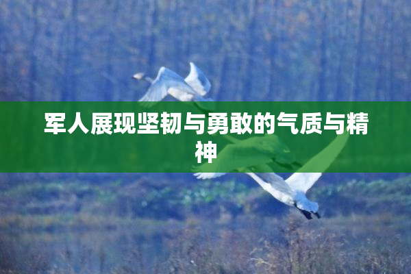 军人展现坚韧与勇敢的气质与精神
