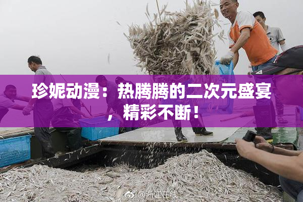 珍妮动漫：热腾腾的二次元盛宴，精彩不断！