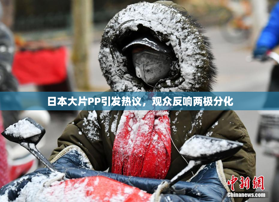 日本大片PP引发热议，观众反响两极分化