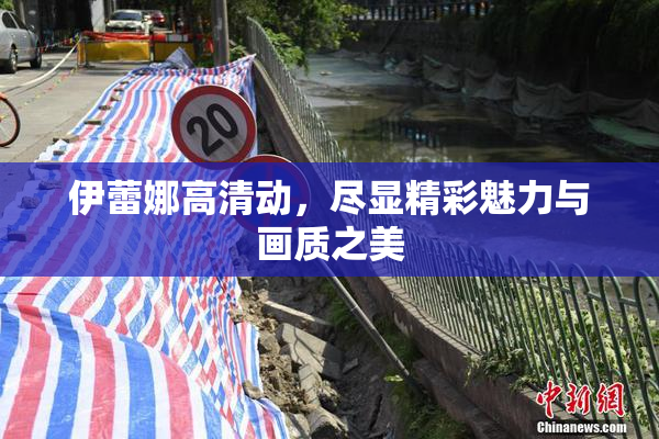 伊蕾娜高清动，尽显精彩魅力与画质之美