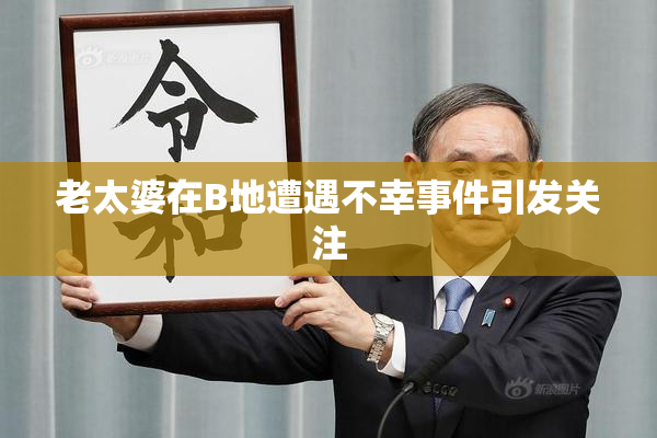 老太婆在B地遭遇不幸事件引发关注