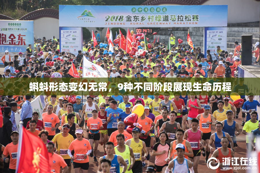 蝌蚪形态变幻无常，9种不同阶段展现生命历程