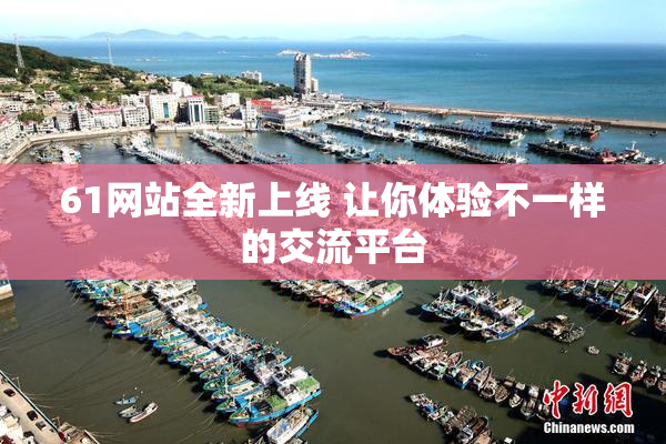 61网站全新上线 让你体验不一样的交流平台