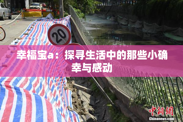 幸福宝a：探寻生活中的那些小确幸与感动