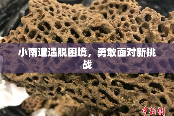 小南遭遇脱困境，勇敢面对新挑战