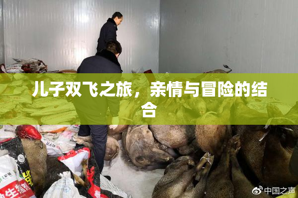 儿子双飞之旅，亲情与冒险的结合