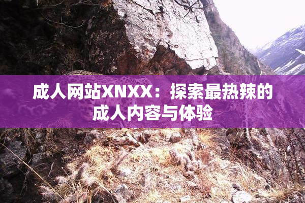 成人网站XNXX：探索最热辣的成人内容与体验