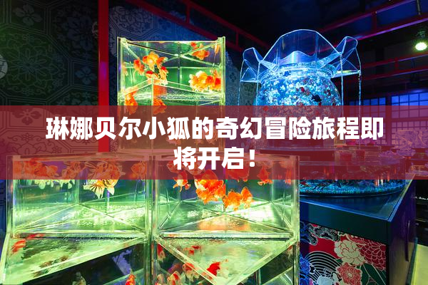 琳娜贝尔小狐的奇幻冒险旅程即将开启！