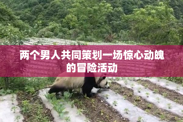两个男人共同策划一场惊心动魄的冒险活动