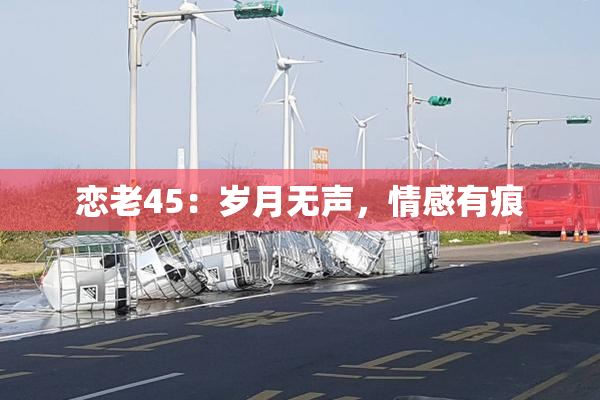 恋老45：岁月无声，情感有痕