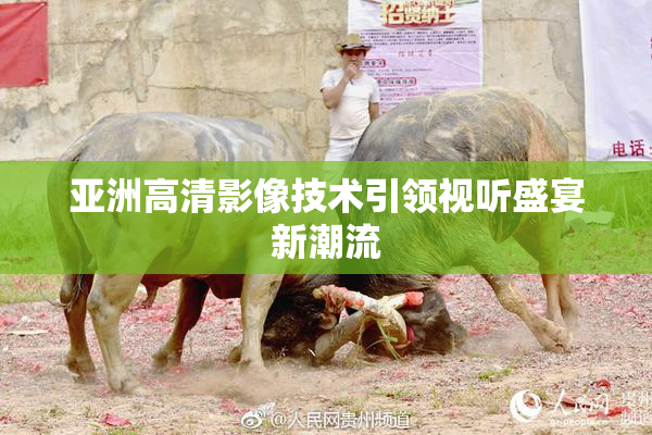 亚洲高清影像技术引领视听盛宴新潮流