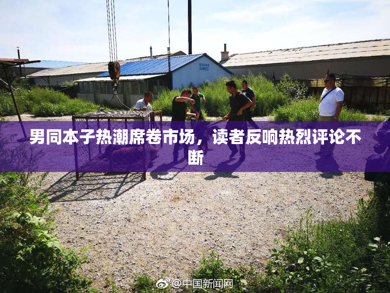 男同本子热潮席卷市场，读者反响热烈评论不断