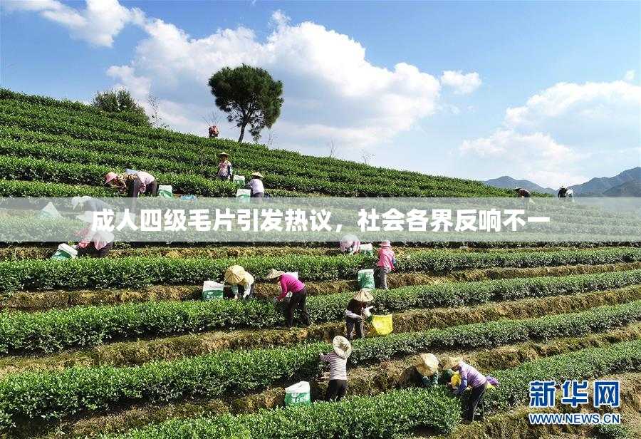 成人四级毛片引发热议，社会各界反响不一