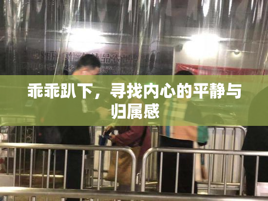 乖乖趴下，寻找内心的平静与归属感