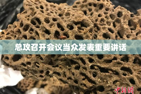 总攻召开会议当众发表重要讲话