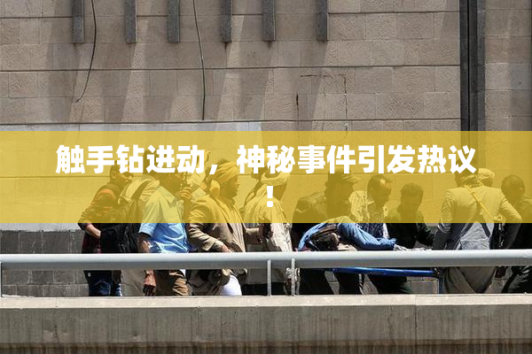 触手钻进动，神秘事件引发热议！