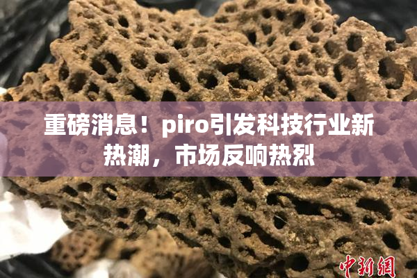 重磅消息！piro引发科技行业新热潮，市场反响热烈