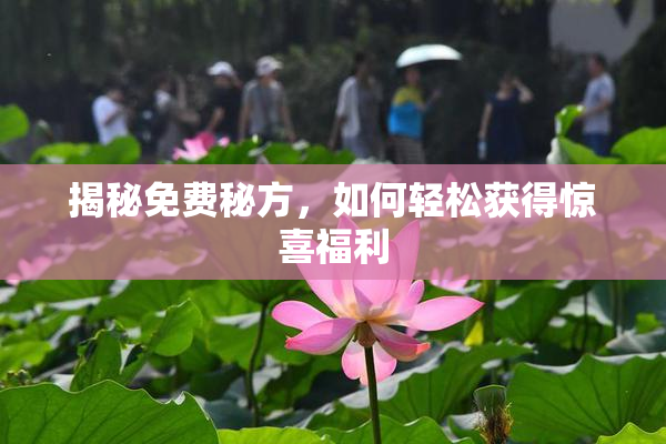 揭秘免费秘方，如何轻松获得惊喜福利