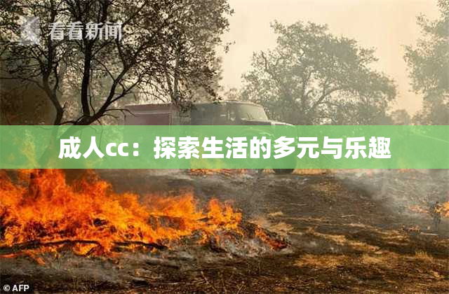 成人cc：探索生活的多元与乐趣