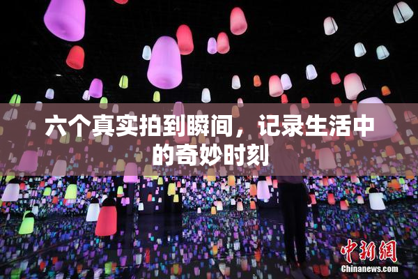 六个真实拍到瞬间，记录生活中的奇妙时刻