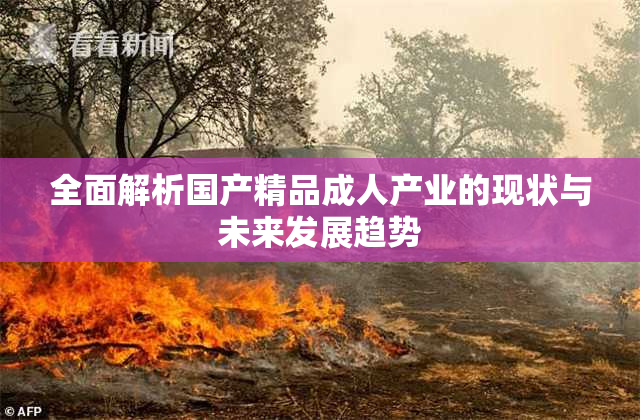 全面解析国产精品成人产业的现状与未来发展趋势