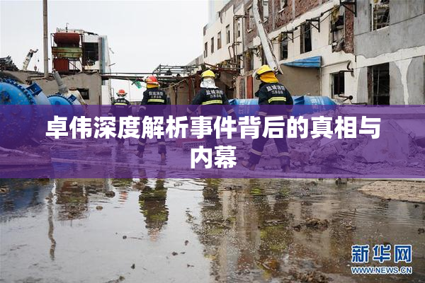 卓伟深度解析事件背后的真相与内幕
