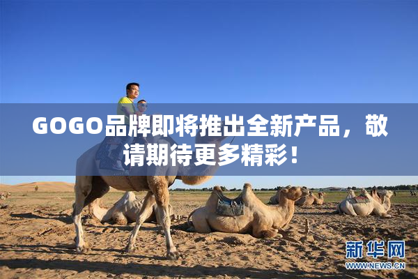 GOGO品牌即将推出全新产品，敬请期待更多精彩！