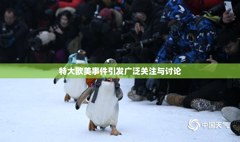 特大欧美事件引发广泛关注与讨论