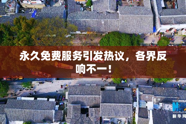 永久免费服务引发热议，各界反响不一！