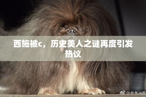 西施被c，历史美人之谜再度引发热议