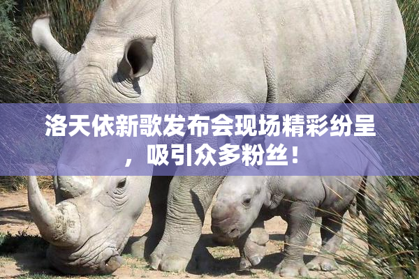 洛天依新歌发布会现场精彩纷呈，吸引众多粉丝！