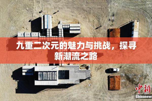九重二次元的魅力与挑战，探寻新潮流之路