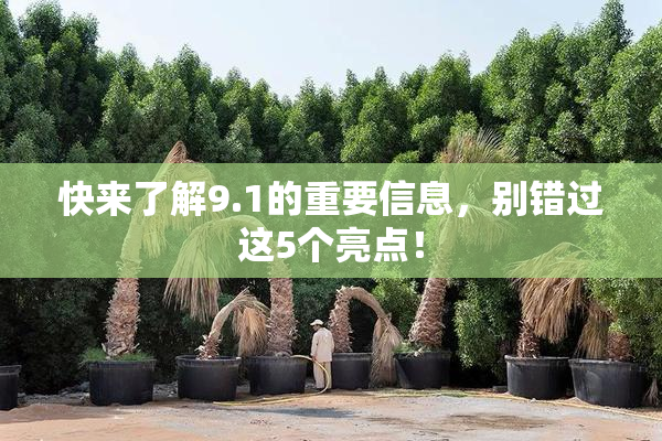 快来了解9.1的重要信息，别错过这5个亮点！