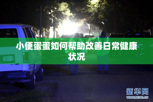 小便蛋蛋如何帮助改善日常健康状况